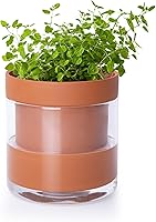 Vista 1 de Phoenix Vine Maceta de riego automático de 4 pulgadas, maceta de arcilla de terracota con depósito de vidrio para plantas de interior, hierbas