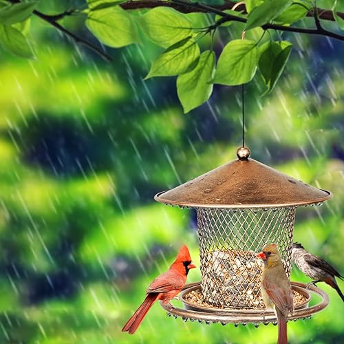 Miniatura 8 de Comedero para pájaros para exteriores, comedero de metal resistente para gorrión, capacidad de 2 libras, lindo alimentador de pájaros para jardín y