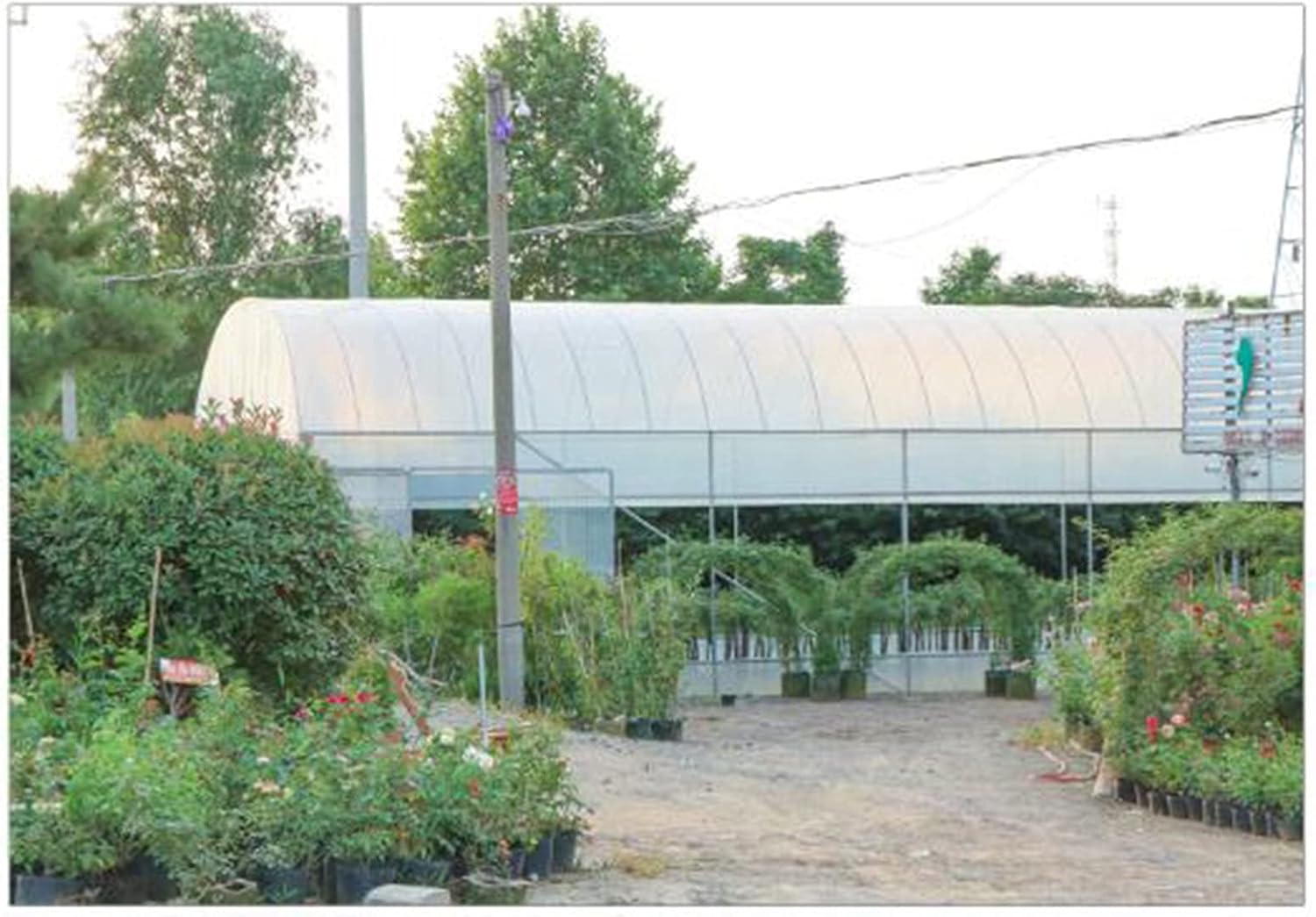 Clear Tarps Waterproof Plastic Covering Dust-Proof Tear Resistance Protective Cover for Greenhouse Garden Patio Carport, Customizable (Color : Clear, Size : 1x2m)