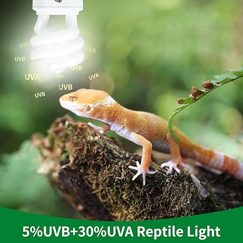 Miniatura 3 de Luz de reptil UVA UVB - 15W 5.0, terrario tropical y subtropical lámpara fluorescente compacta, bombilla de reptil UVB para serpientes, camaleones,
