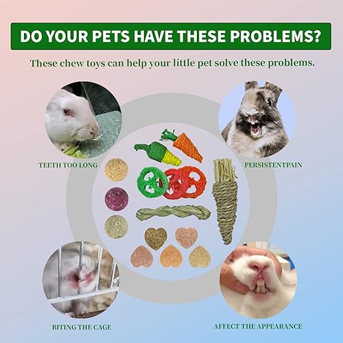 Miniatura 5 de JOYTZRE Juguetes masticables para conejos 15 unidades juguetes de conejito de indias juguetes para masticar animales pequeños para conejo conejo