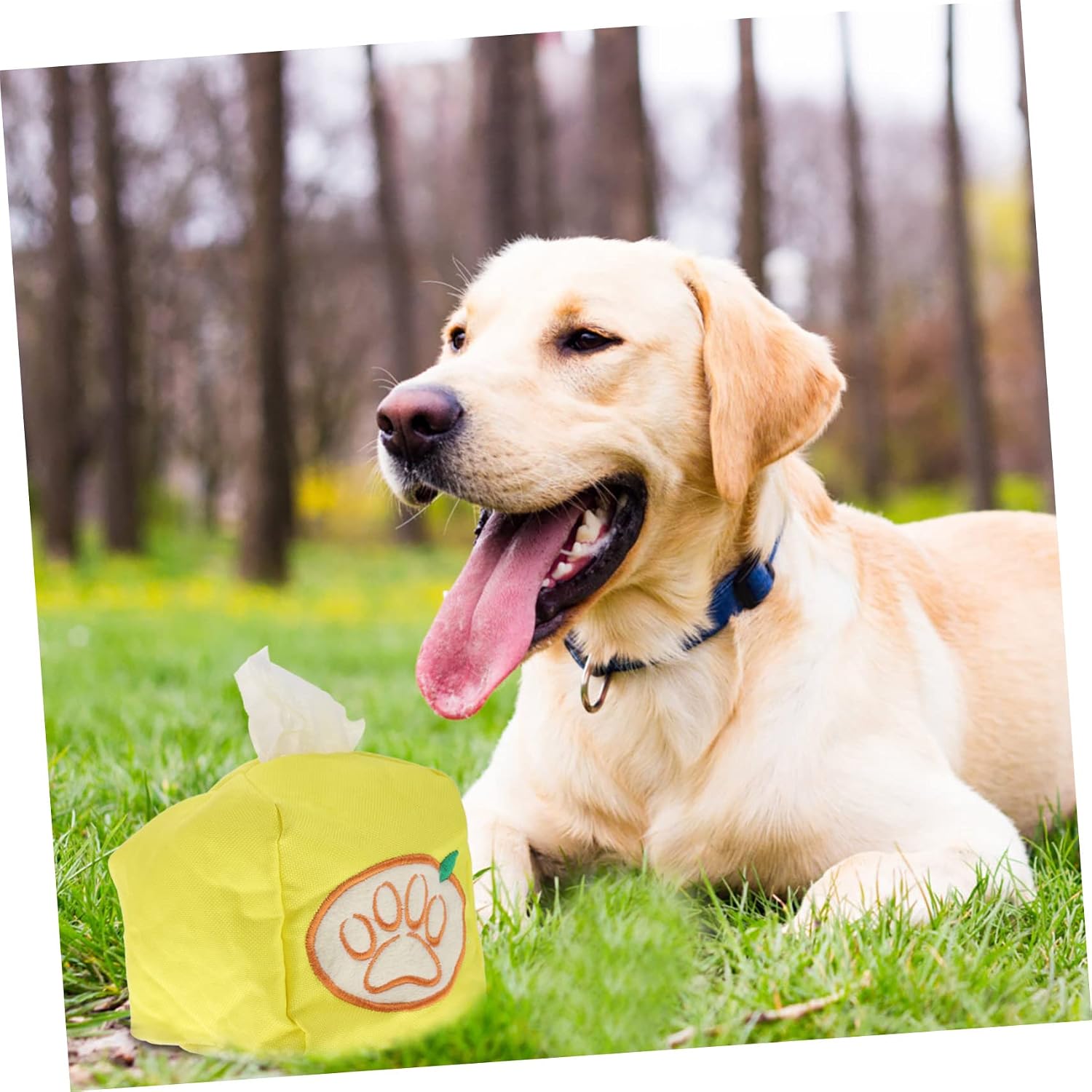 balacoo Pet Pull Tissue Toy Dog Snuffle Toy Tissue Box Dog for Foraging Training Interactive Chew to Help Exercise Smell Reduce Boredom 3.93 X 3.93 X 3.93 in 1 Pack image 2