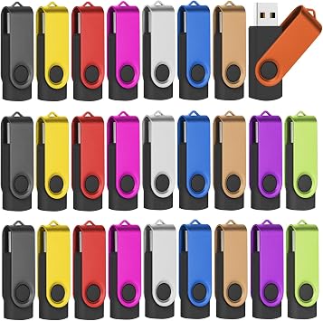 2GB 2.0 USB Flash Drive 50-Pack Thumb Drives Bulk with Lanyards