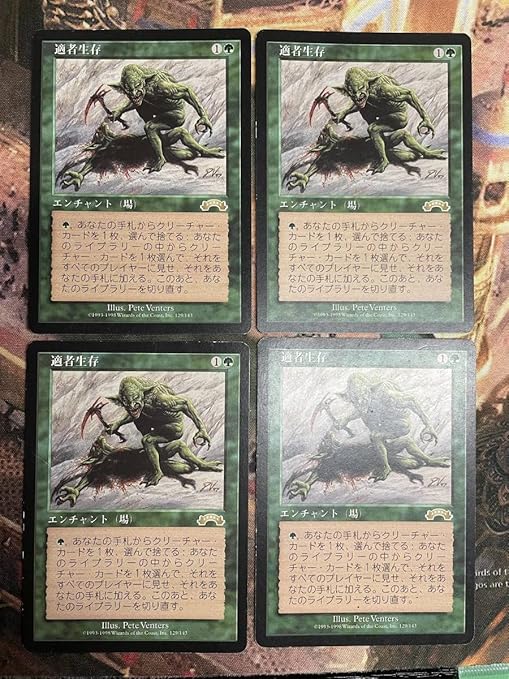 送料込・まとめ買い 適者生存4枚セット - 通販 - mateinbox.com.br