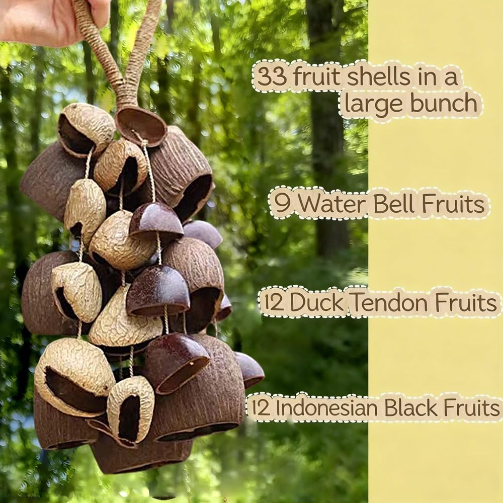Hollow Fruit Shell Rattle – Natural Handheld Wind Chime for Sound Healing, Minimalist Percussion Instrument for Meditation and Yoga