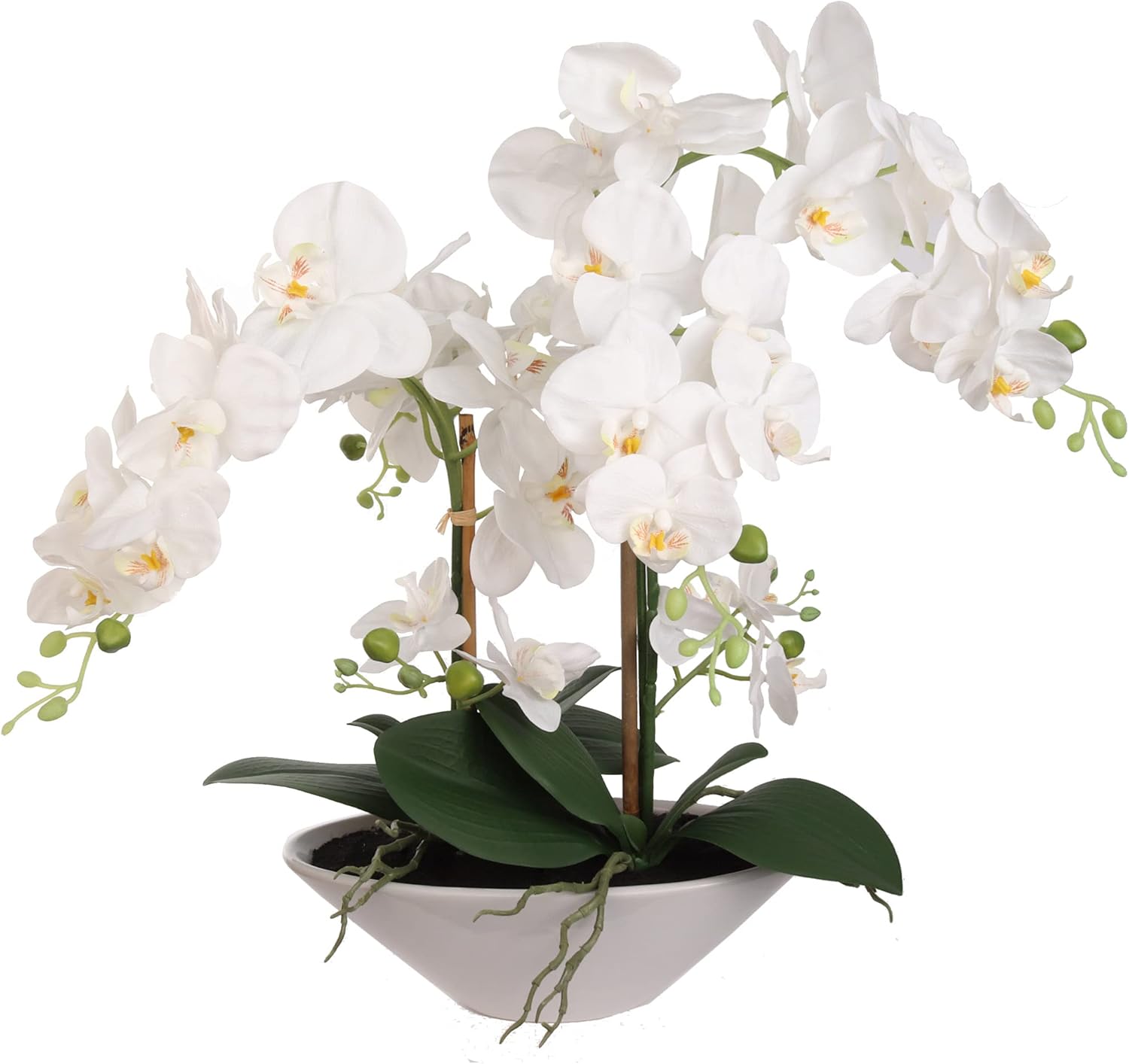 Larksilk Elegant 20-Inch Phalaenopsis Orchid Floral Arrangement in White Vase - Lifelike, Long-Lasting, Perfect for Home Decor, Weddings, and Gifts