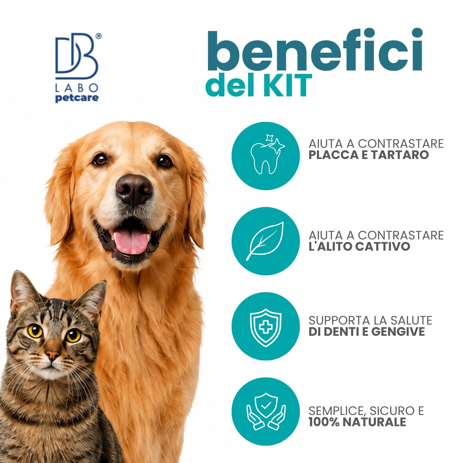 Kit Pulizia Tartaro Denti Cane Spray Dentifricio, Colluttorio, Antitartaro | Set 3 prodotti Igiene Orale Cani con salvia, menta, tea tree, propoli e alga per denti, gengive e alito cane - Made in Ital