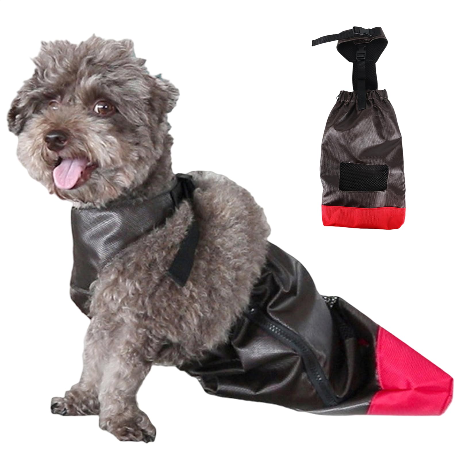 Scooter pour chien en appartement et balades quotidiennes pour chat à mobilité réduite
