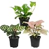 Product Photo 1