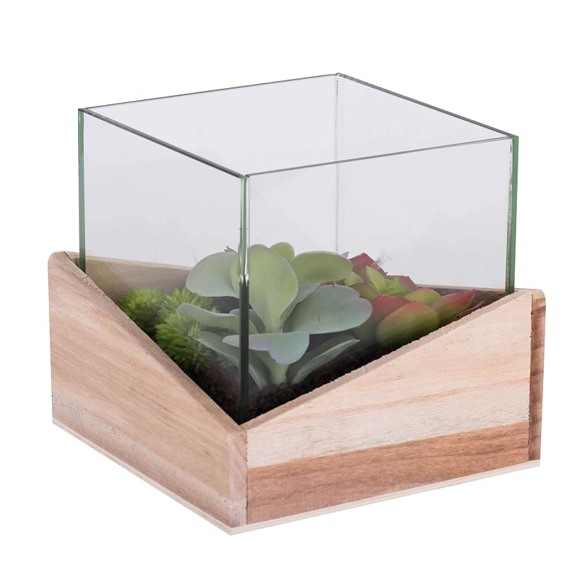 Vickerman Everyday 6" Artificial Green Assorted Succulents in Wood Container and Glass Top - Faux Indoor Decorative Plant - Greenery for Home Or Office Decor - Maintenance Free