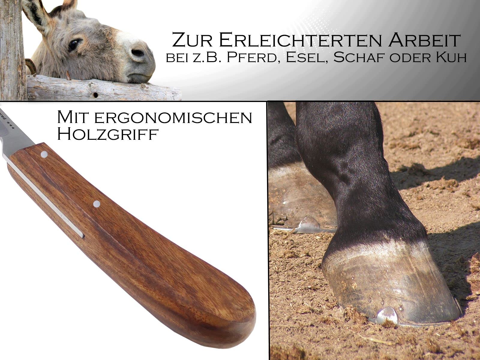 Pferde Hufmesser 7er Set Schlaufenmesser Klauenmesser Hufschneidemesser