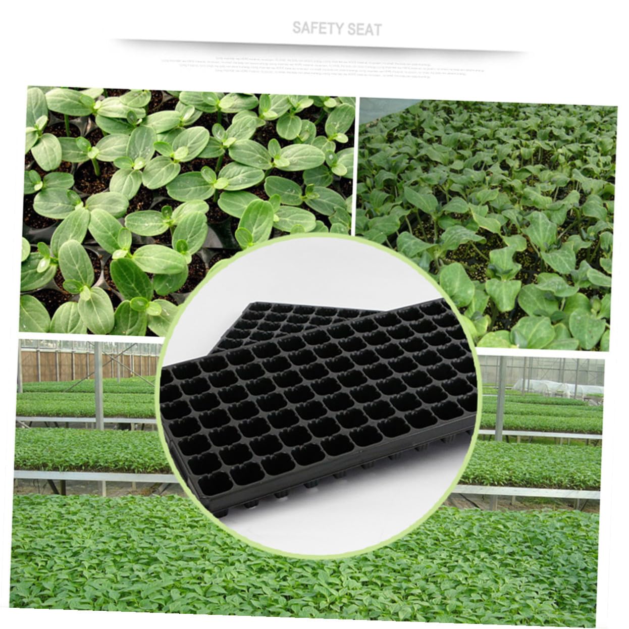 Keimschalen Aus Kunststoff Mit 200 Zellen 5 Stück Anzuchtplatten Für Garten Und Hobby Leicht Belüftet Wurzelfäulehemmend Pflanztabletts Für Terrasse Und Zimmergewächshaus