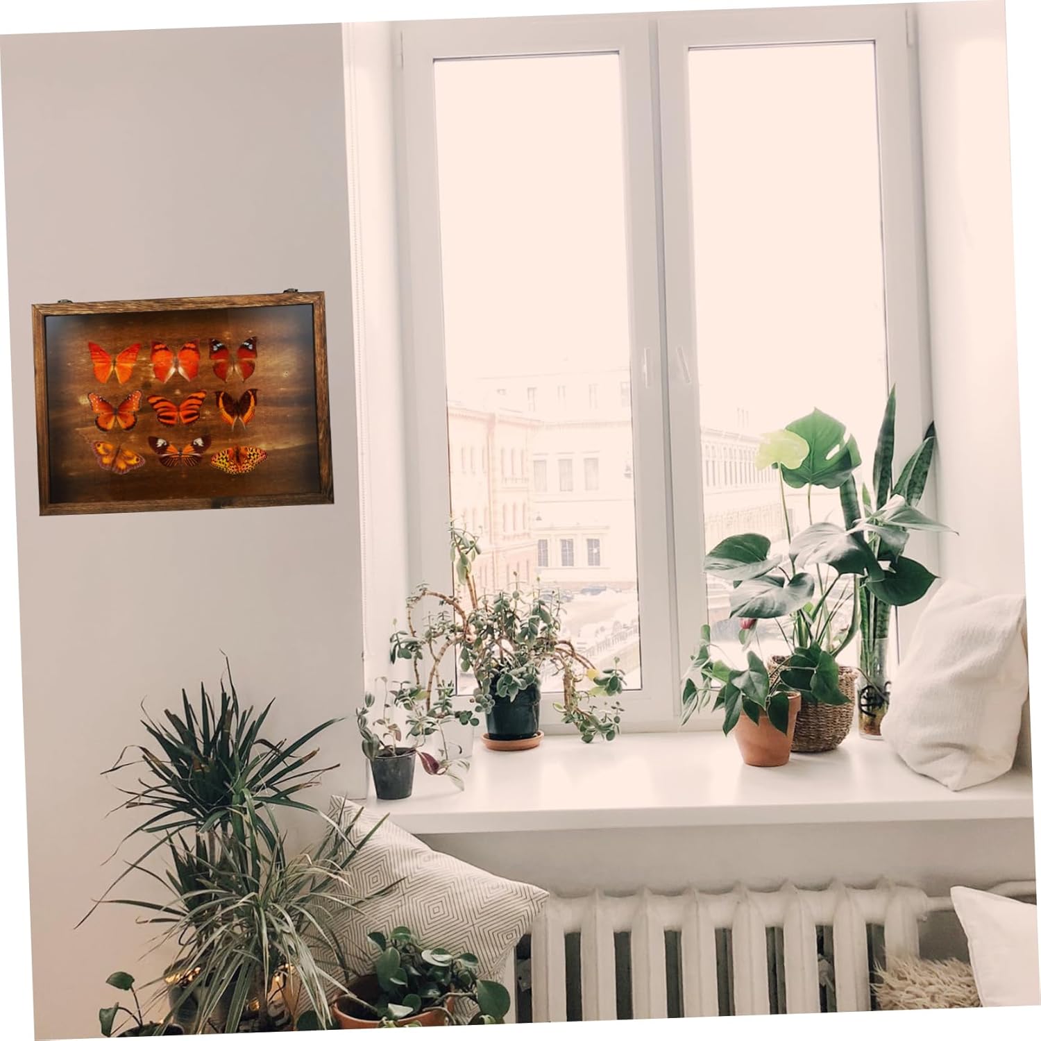 LIFKOME Vintage Wooden Insect Display Box with Clear Flip-top Lid for Butterfly Specimens Wall-mountable Retro Style Specimen Case for Dried Flowers Jewelry and Collectibles