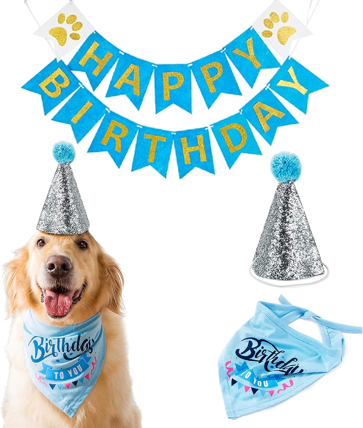 dog bday hat