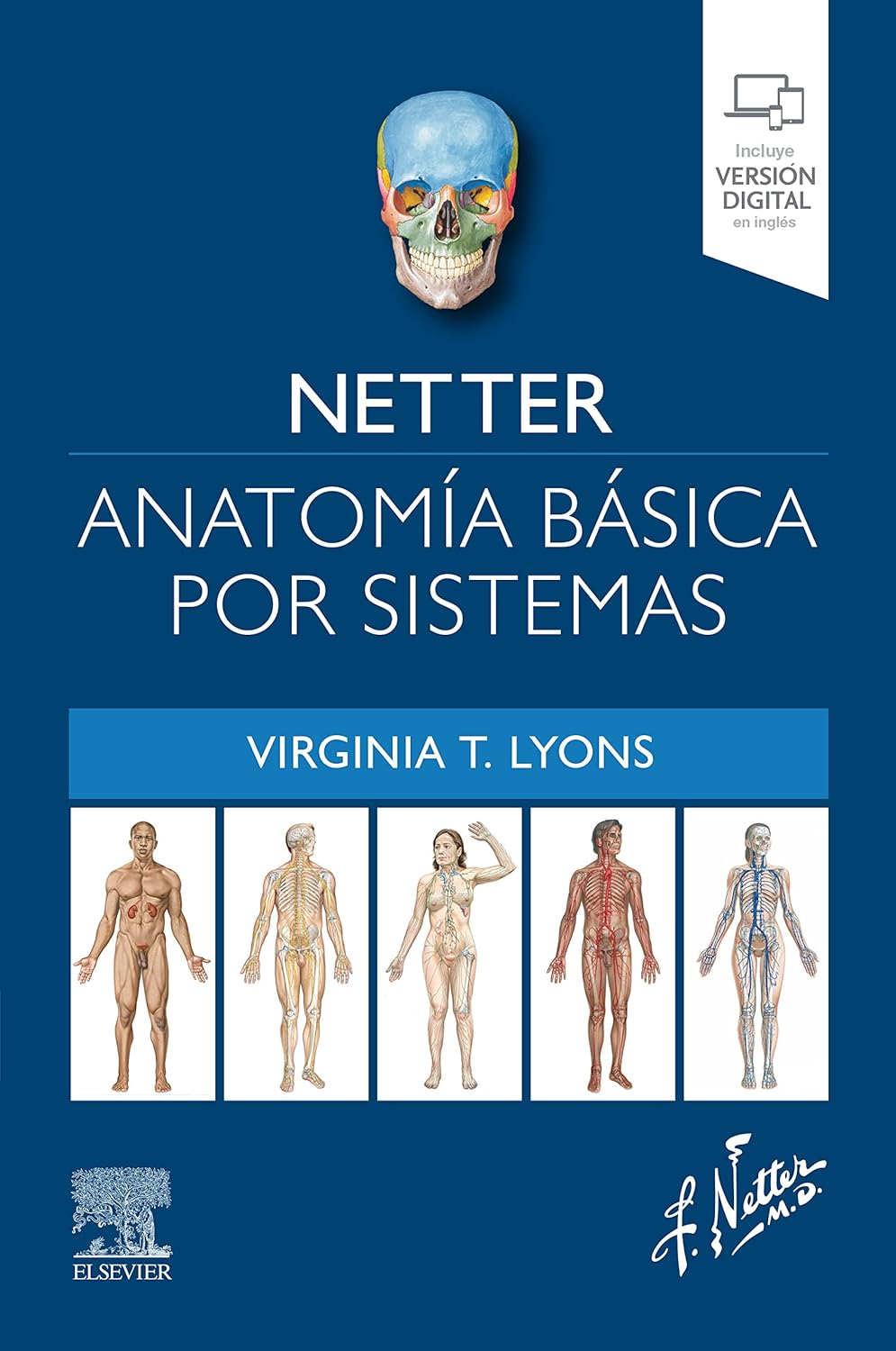 Netter. Anatomía básica por sistemas (Spanish Edition)