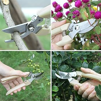 Amazon | 多機能園芸鋏、果樹園の花の枝摘み木の剪定,剪定鋏