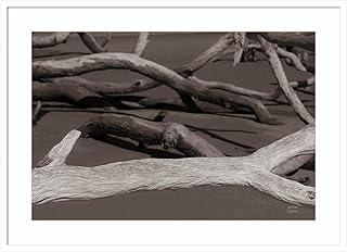 Amanti Art Framed Wall Art Print 30x41 Georgia Driftwood II by Nathan Larson, Beach Wall Art, Coastal Decor, X-Large Poster Painting Artwork for Living Room, Bedroom, Bathroom, Kitchen, Office or