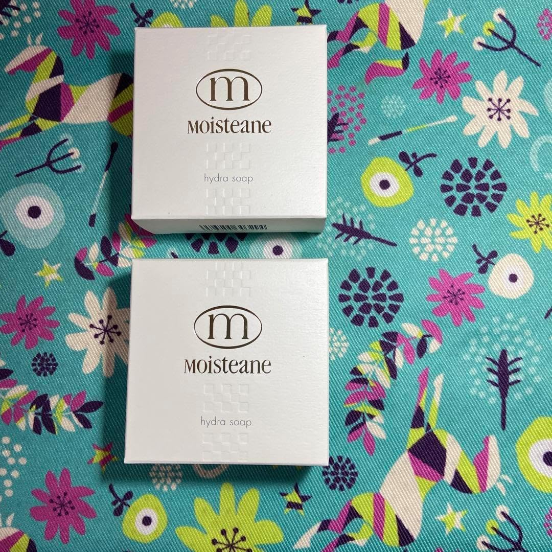モイスティーヌ ヒドラソープ Moisteane ヒドラソープ & 泡立てネット
