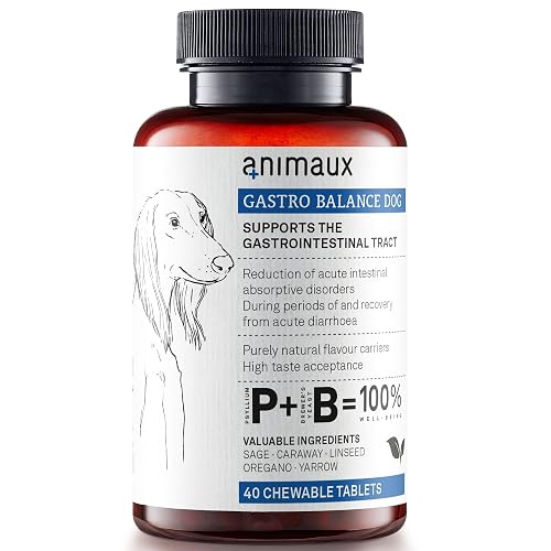 animaux Gastro Balance - - 40 Comprimidos Masticables