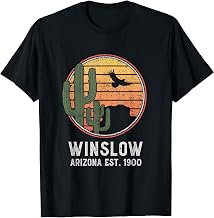 Winslow Arizona Retro Cactus and Sun T-Shirt