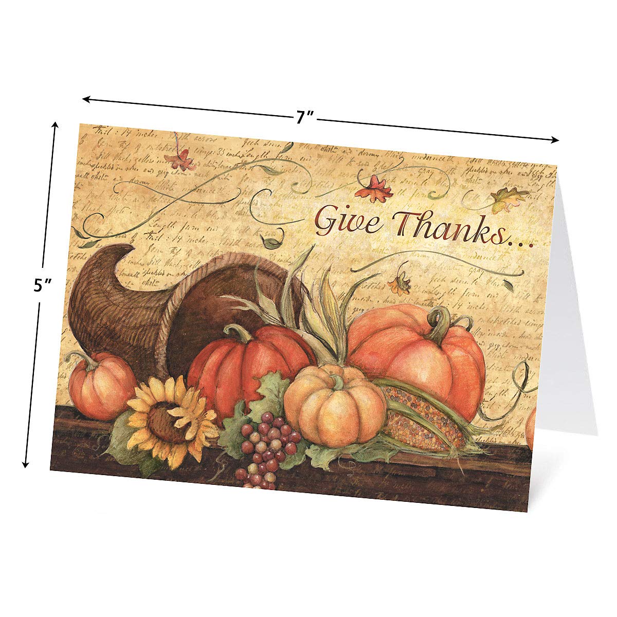 Snapklik.com : Current Harvest Thanksgiving Greeting Cards Set - Themed ...