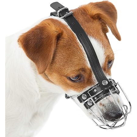 dog muzzle for jack russell