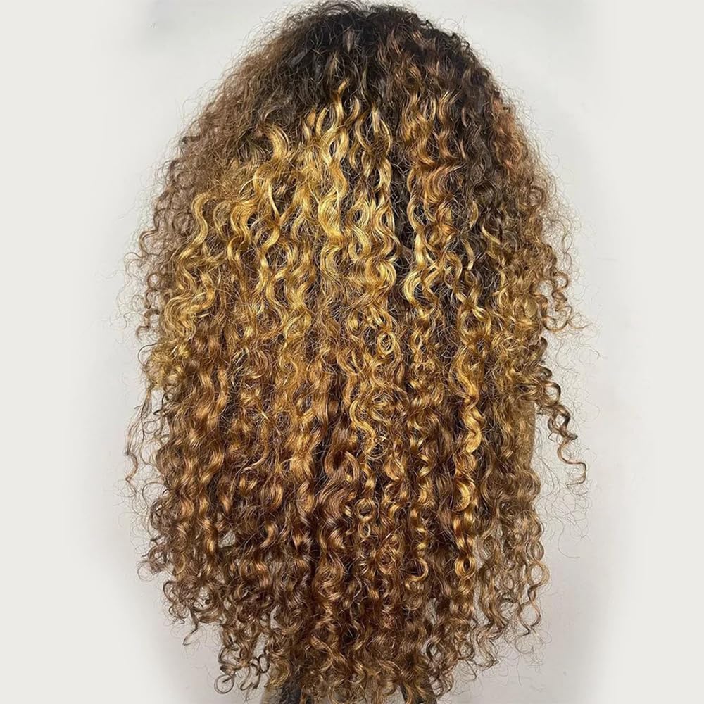 Ombre Brown #4/27 Colored Wig Kinkly Curly 13X4 HD Transparent Lace Front Wig Natural Hairline with Baby Hair Pre Plucked Virgin Human Hair Glueless Brazilian Remy 180% Density for Women 16"