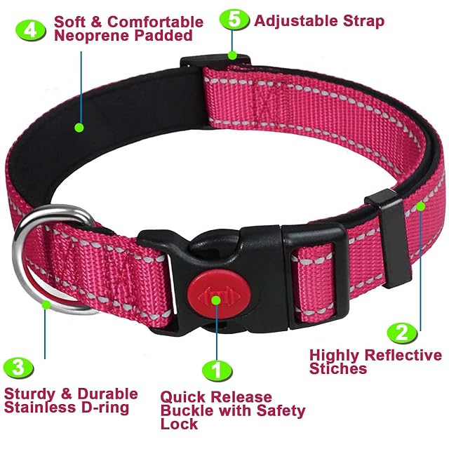 Foto 2 de 7 de Dog Collar, Reflective Adjustable Basic Dog Collar with Soft Neoprene Padding