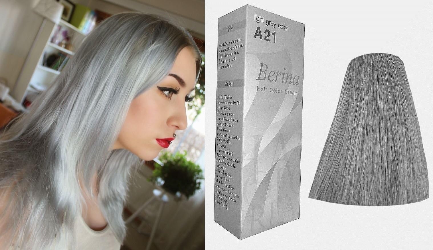 2 Boxes Berina Permanent Hair Color A21 Light Grey Hair Dye Cream #21 …