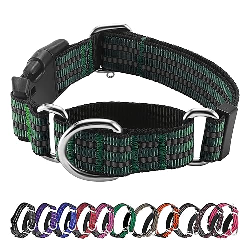 Hikiko Martingale Dog Collars Reflective Nylon Dog Collar with Quick Release Buckle Adjustable Training No Slip Dog Collar (Small, Dark Green) - Dark Green - Small