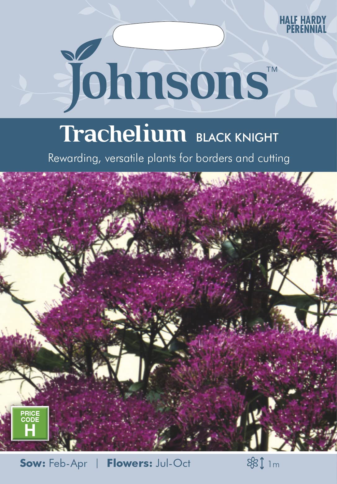 35166 TRACHELIUM Knight, Maroon/Black