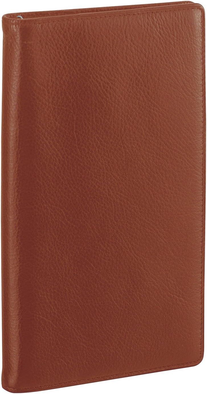 Reimeifujii Organizer Da Vinci Standard Bible Brown JDB3007C