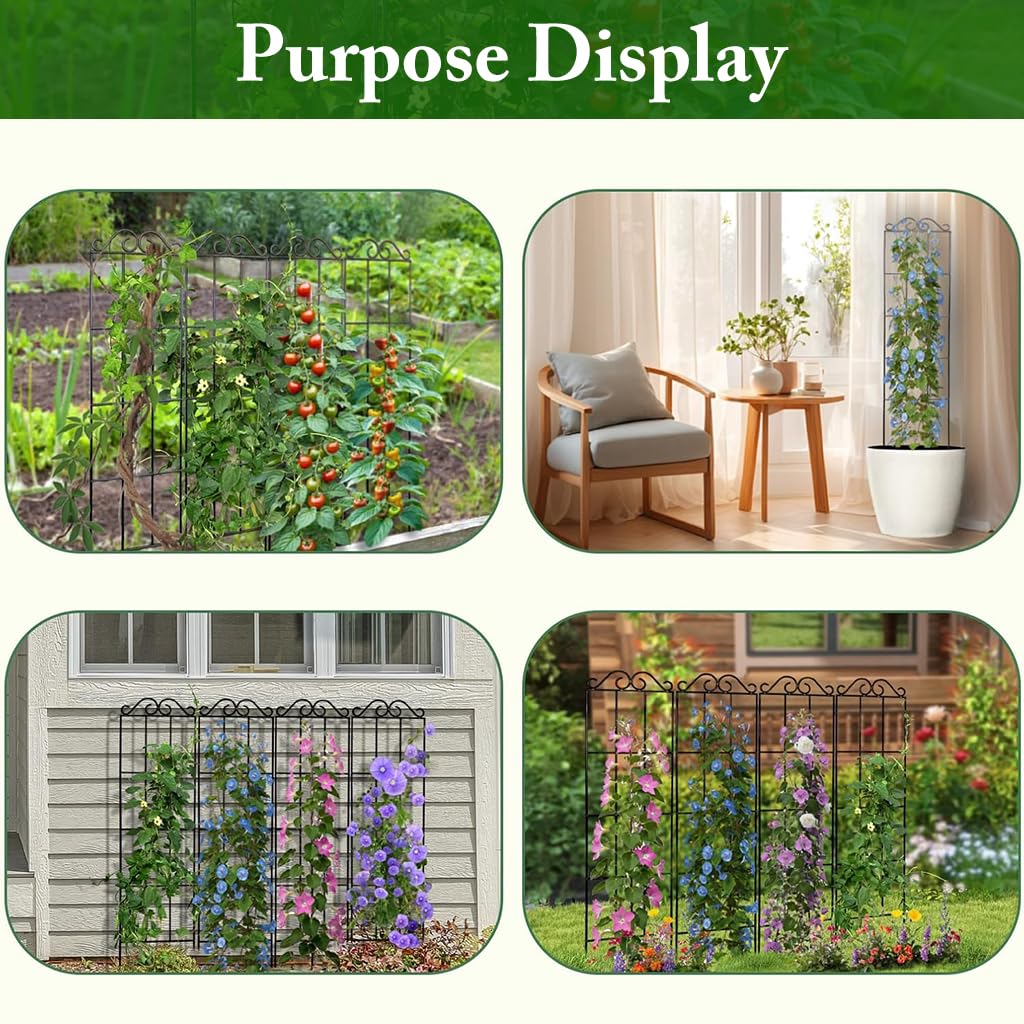Metal Plant Trellis - Support Climbing Vines -4