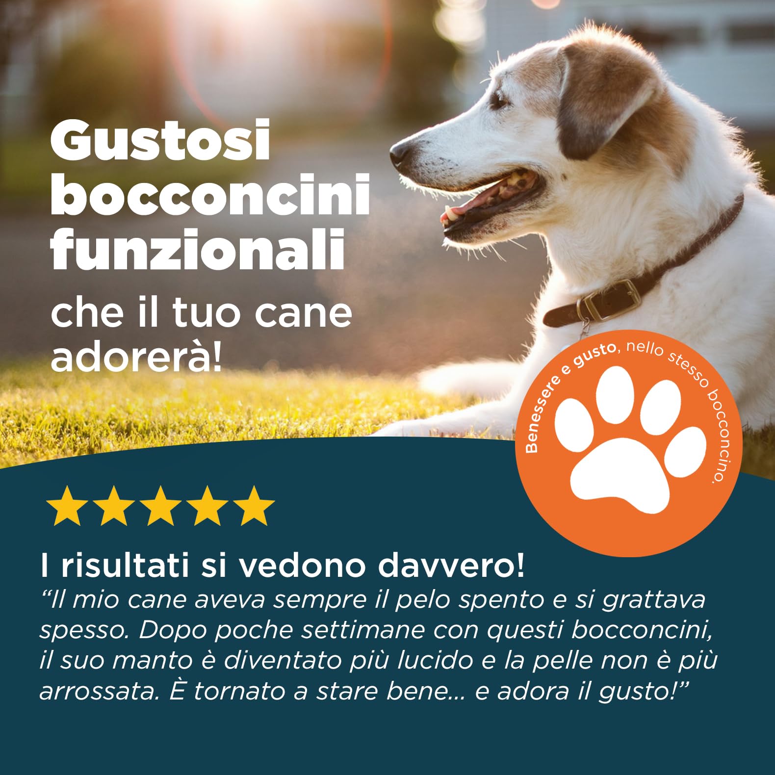 Pelo & Cute per Cani | Integratore Naturale con Semi di Lino, Curcuma e Astragalo | Supporto Cute Sana, Pelo Lucente e Difese Naturali | 60 Bocconcini Gusto Manzo