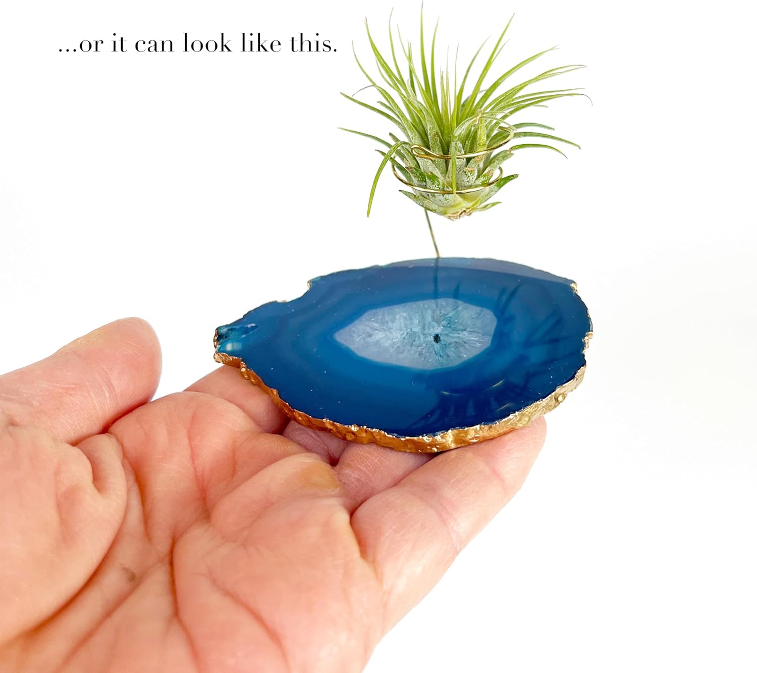 3 Small Blue Agate Geode Crystal Tillandsia Air Plant Holders - Includes Live Plant and Gift Box