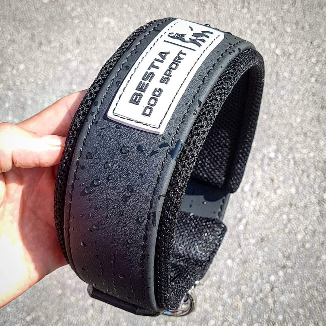 Bestia Dog Sport Collar para Perros Ultra Resistente - Acolchado, Cinta recubierta de TPU Impermeable, Lavable, 5 cm de Ancho, para Pastor Alemán, Rottweiler, Cane Corso (Negro, L 50-60 cm)