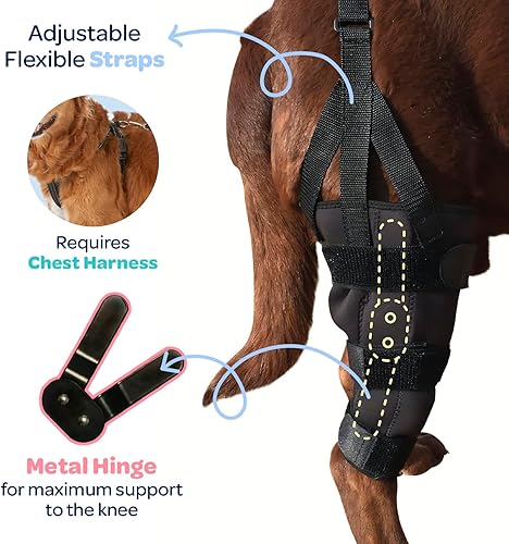 Miniatura 11 de Labra Rodillera canina para perro, férula de metal con bisagras, soporte flexible para ACL K9, CCL, rótula luxante, esguinces de ligamento cruzado