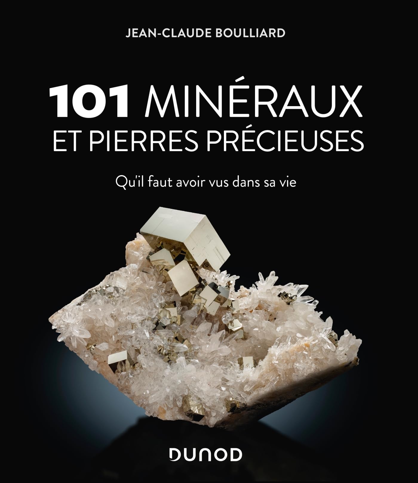101 minéraux et pierres précieuses: Qu'il faut avoir vus dans sa vie