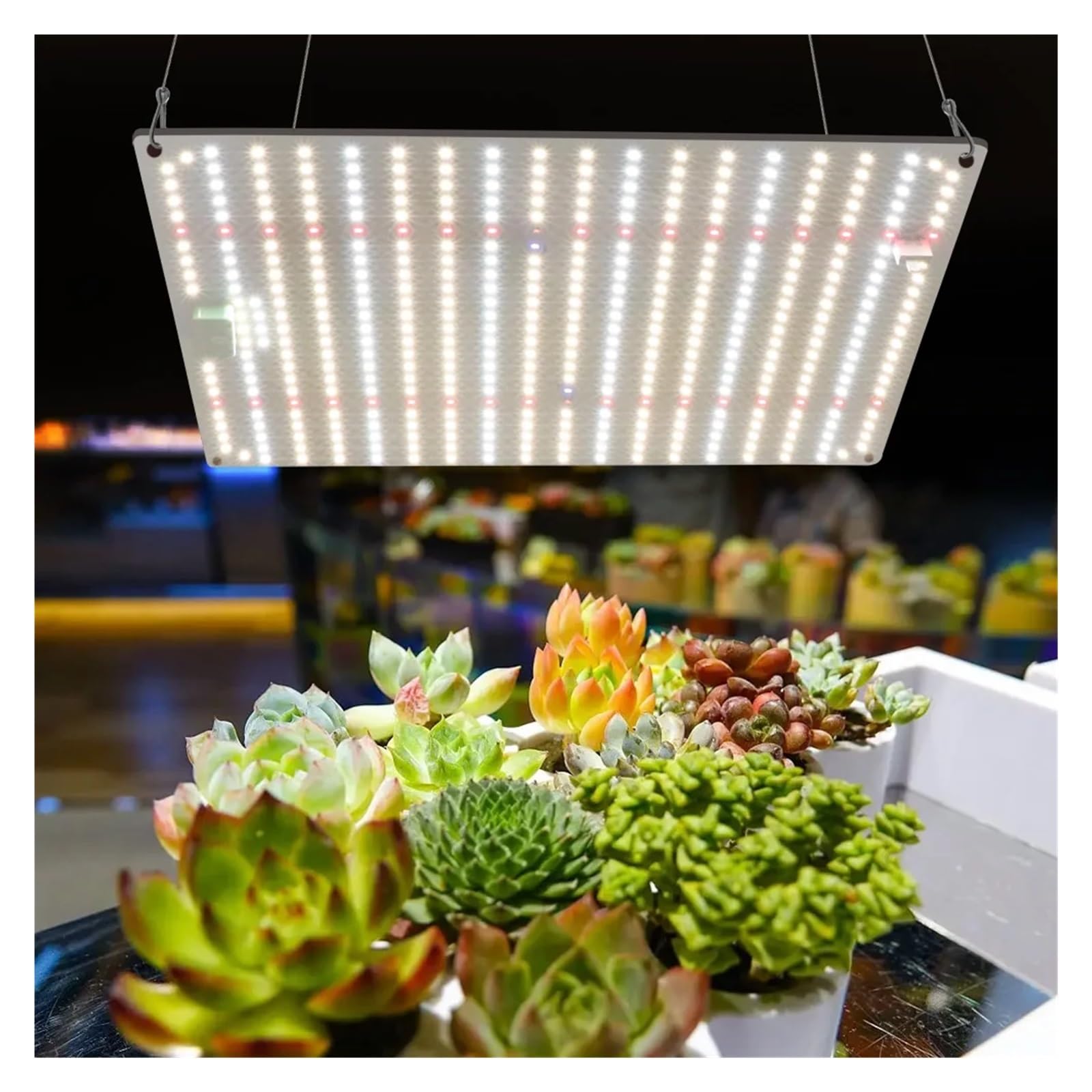 Światło do uprawy, 1000W LM282B Full Spectrum oświetlenie LED do uprawy Fitolamp oświetlenie wzrostu dla rośliny doniczkowe kwiaty nasiona szklarniowe(Rood)