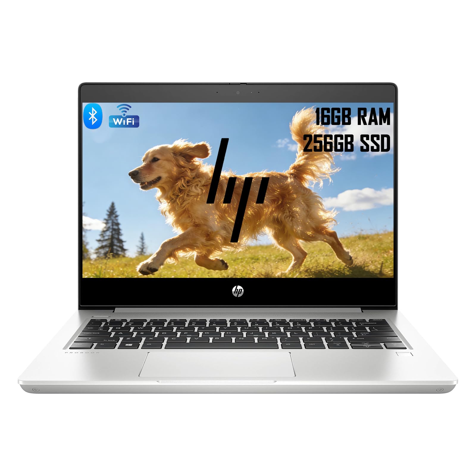Amazon.com: HP ProBook 430 G7 - Laptop empresarial, Core i3-10110