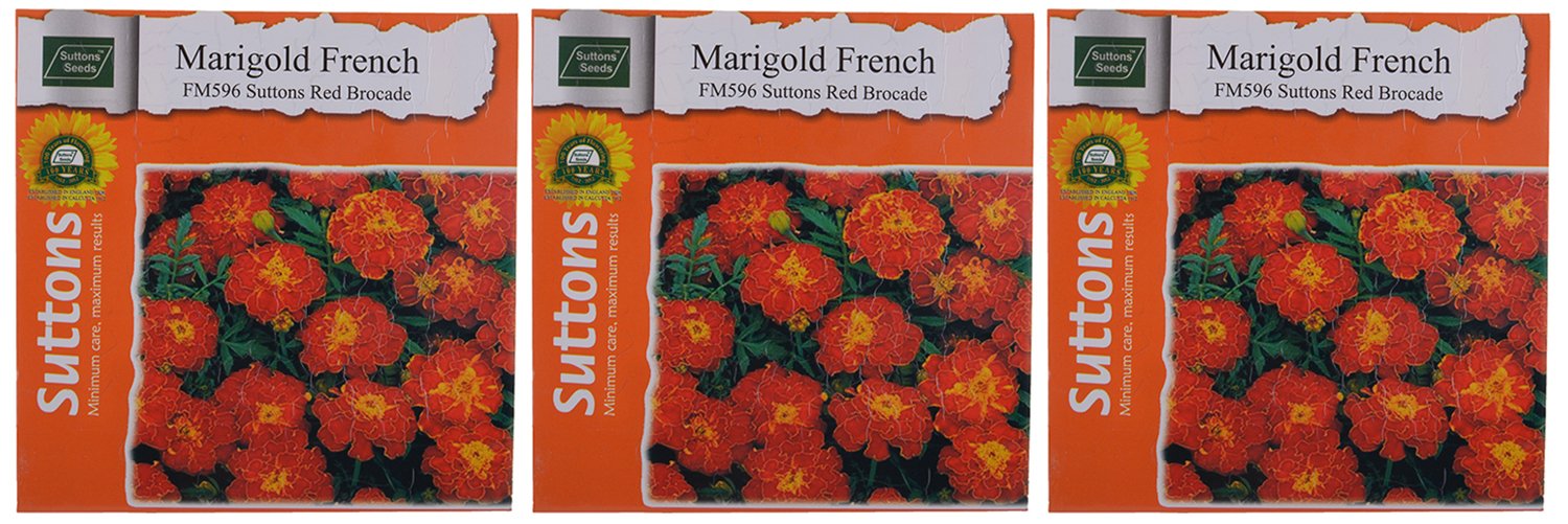 Sutton Seeds 18 Marigold French Suttons Red Brocade Flower Seeds (Pack of 3, 75 Seeds) (B013I7AX26) Amazon Price History, Amazon Price Tracker
