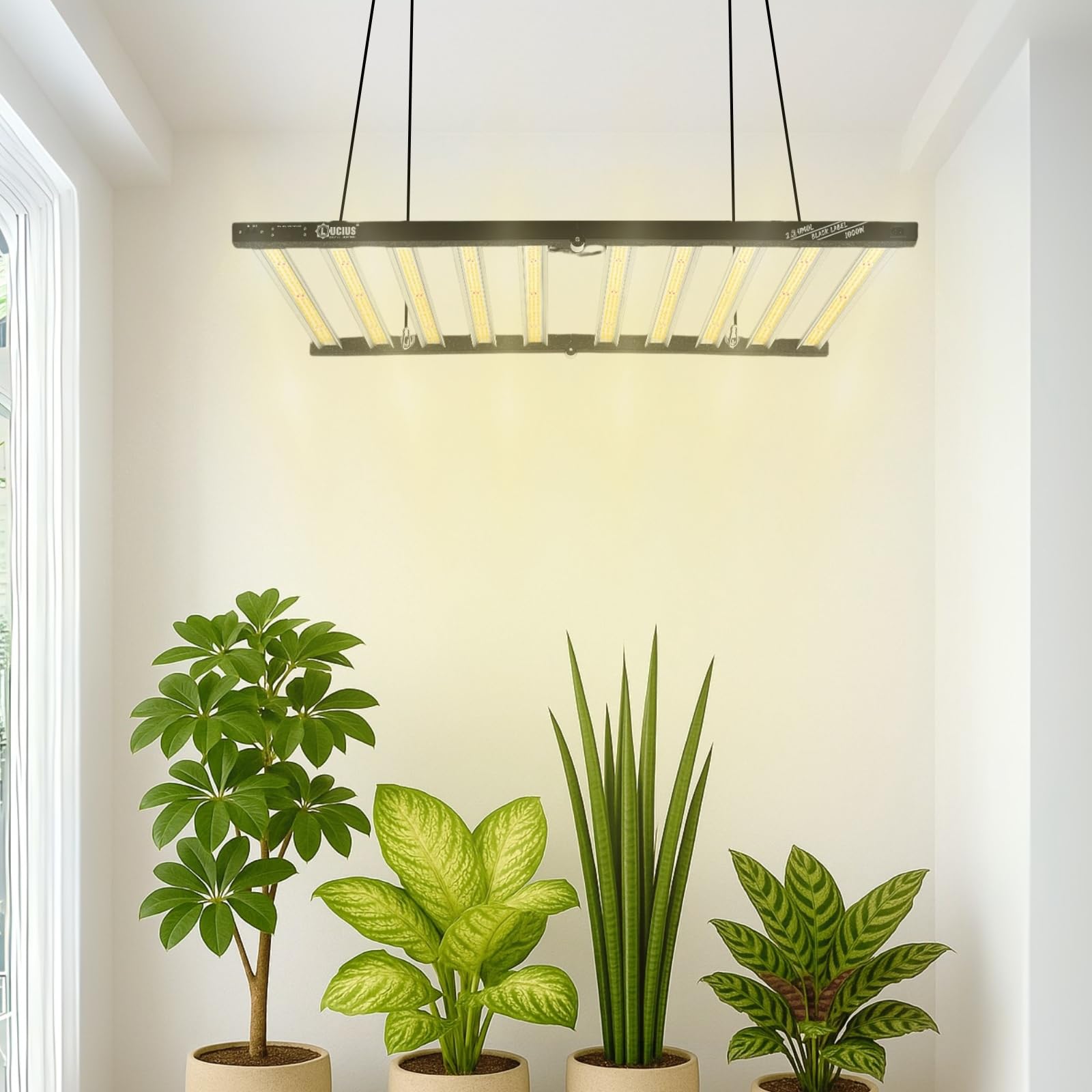 LED 1000W- Iluminación Espectro Completo para Cultivar Plantas en Interior - 2.9 µmol/J, Regulable - Panel LED Profesional para Crecimiento y Floración