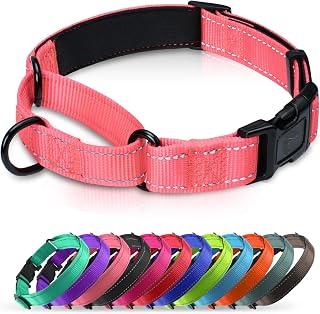 Padded Martingale Collar for Small Dogs, Quick Release Buckle