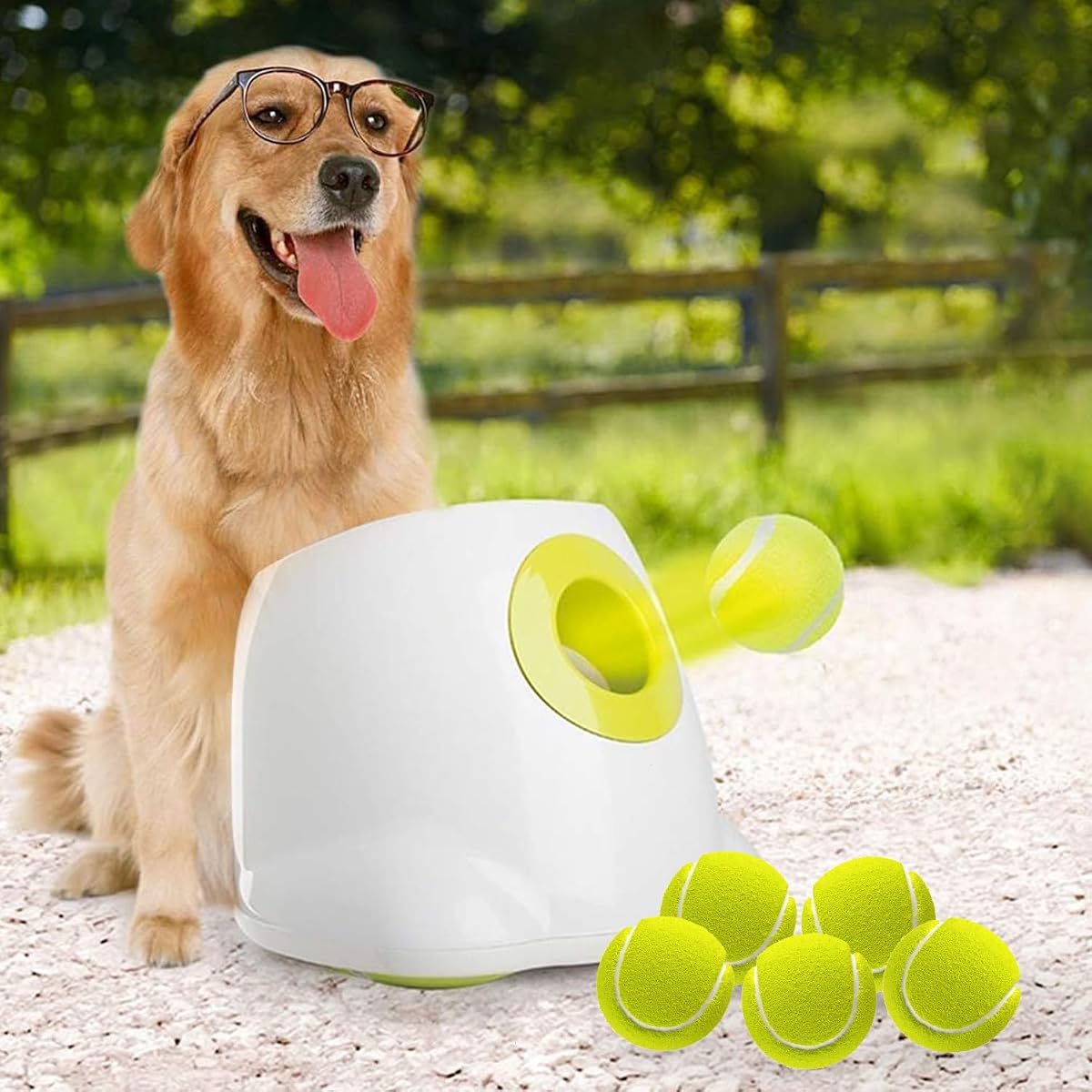ALL FOR PAWS Lanzador automático de pelotas para perros medianos a grandes, lanzador interactivo de pelotas de tenis, juguete recargable para perros, juego de entrenamiento de estimulación mental para perros enérgicos