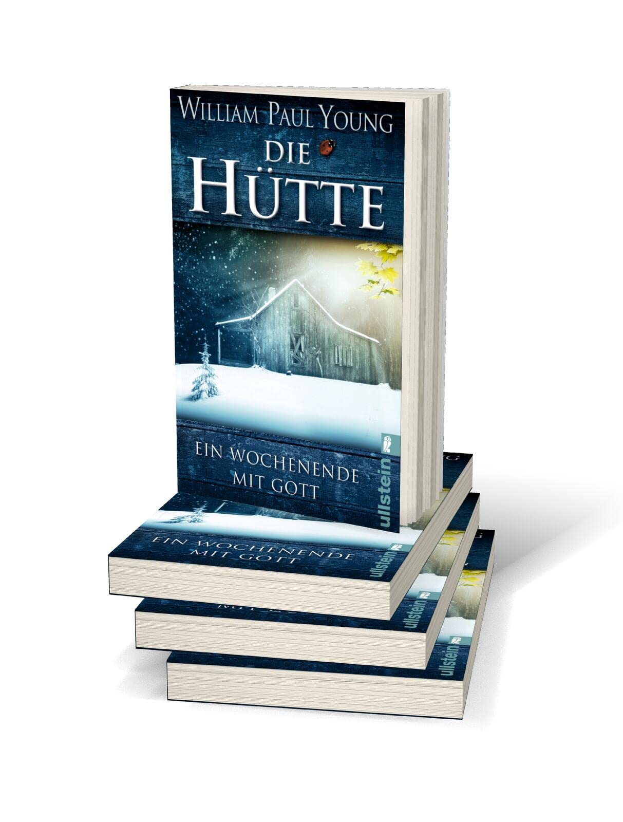 Die Hütte: Ein Wochenende mit Gott