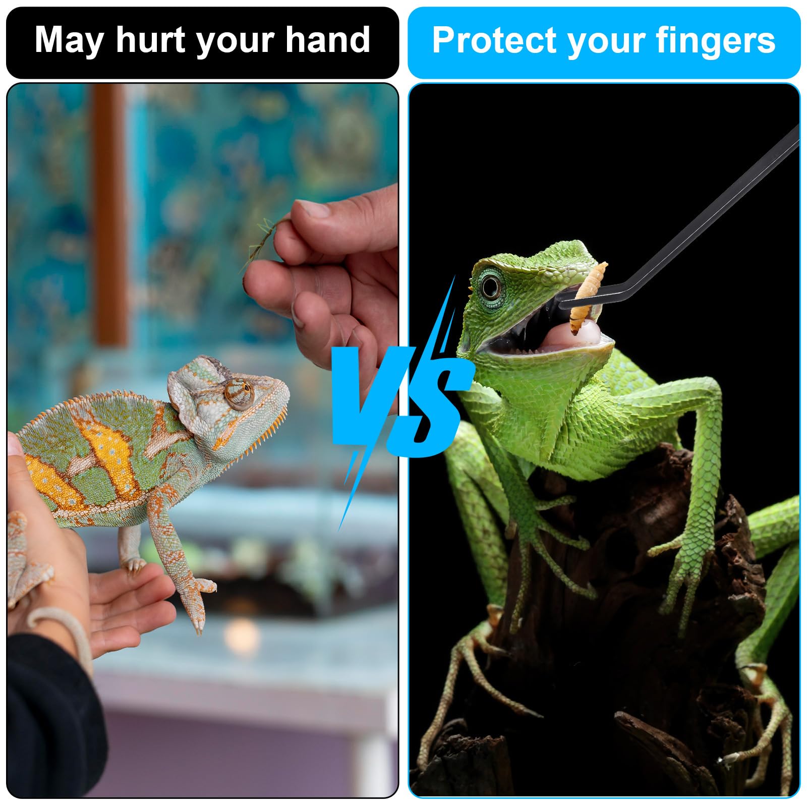 DOKRIN Reptilien-Fütterungszange - 25cm Pinzette Mit Gummispitzen