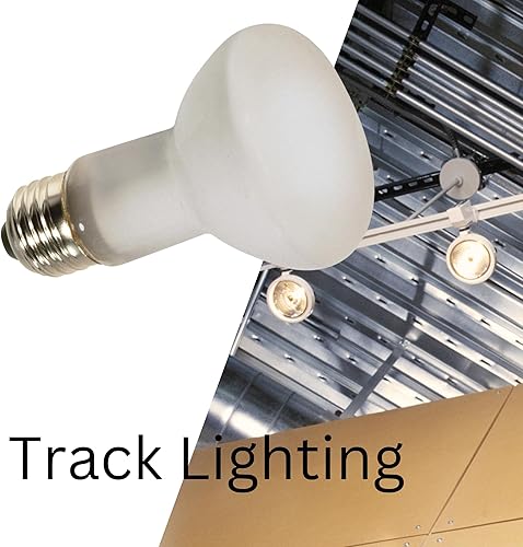 Miniatura 8 de Satco Productos S4886 Bombilla esmerilada a prueba de roturas de 120 voltios 50R20