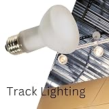 Satco Products S4886 120-Volt 50R20 Frosted Shatter Proof Light Bulb – view 8
