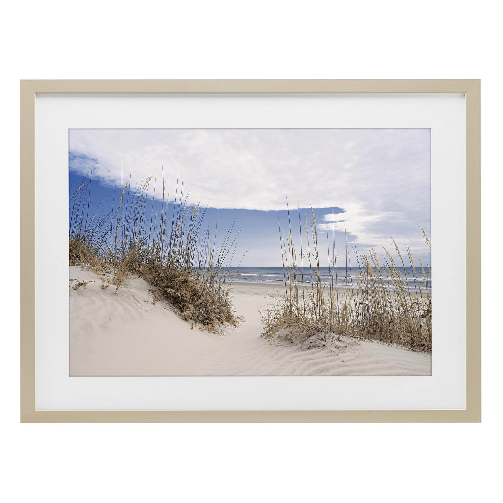 Stupell Industries Sea Oats Sandy Dunes 'Sea Oats Along Sandy Dunes', Framed Print Under Glass, Brown, 20 X 14 Inches, Easy To Hang And Sturdy, Made In Usa, By Natalie Carpentieri