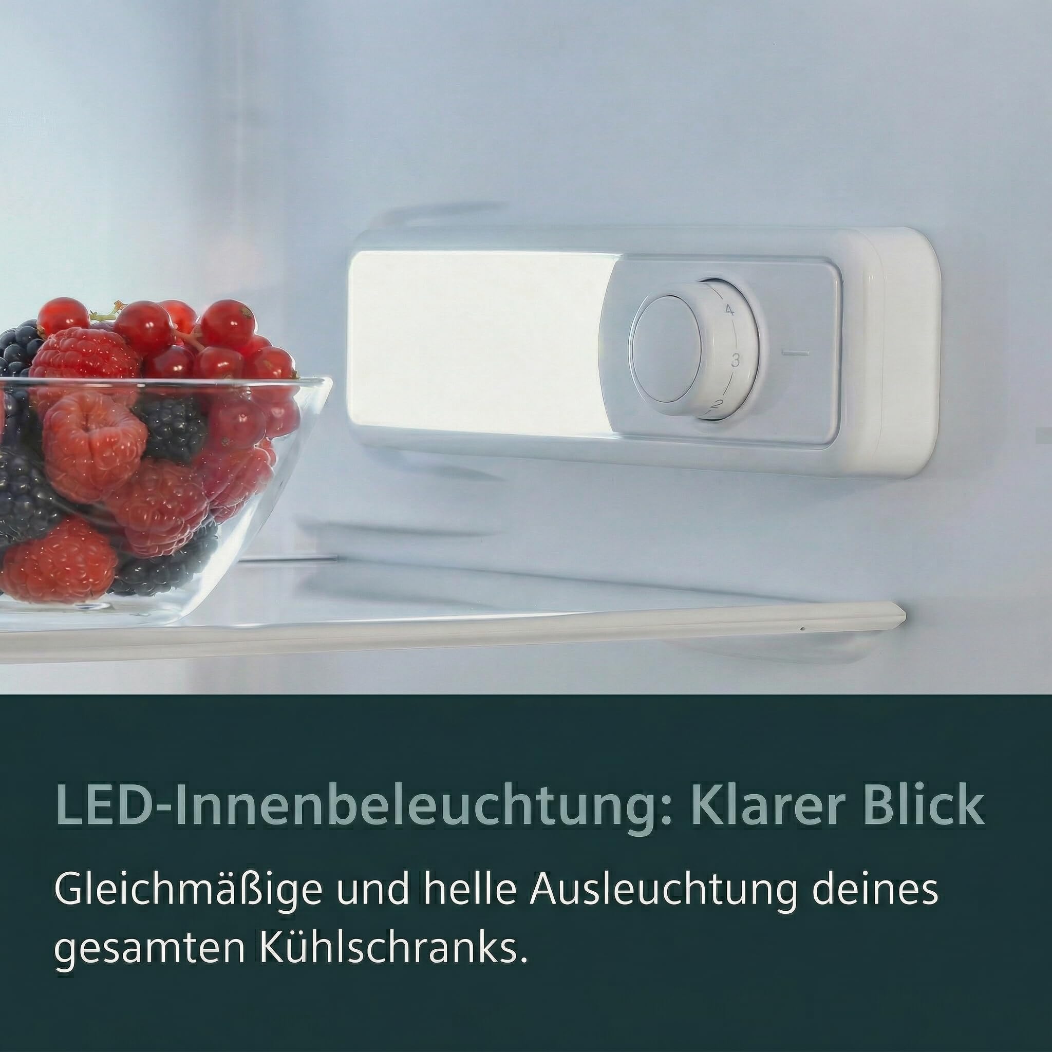 YUNA Einbau Kühlschrank Fedora EKG225E 205L Kühl- / Gefrierkombi LED Schlepptür